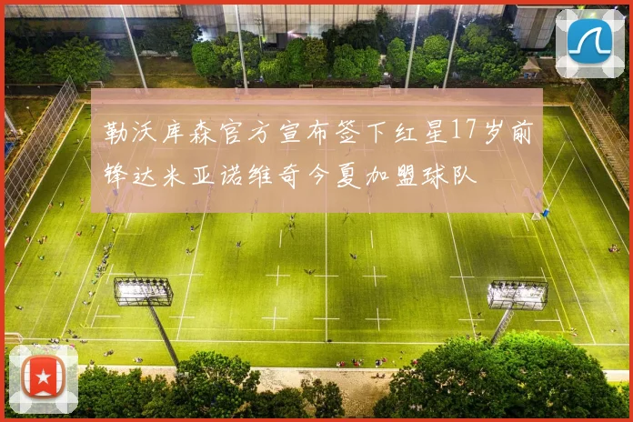 勒沃库森官方宣布签下红星17岁前锋达米亚诺维奇今夏加盟球队
