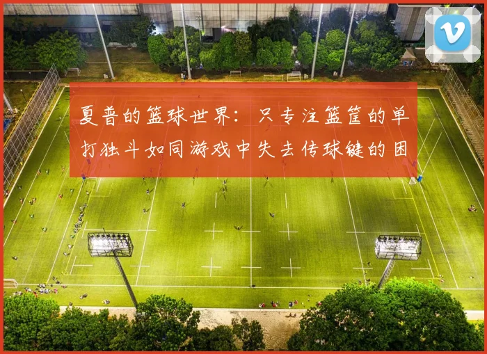 夏普的篮球世界：只专注篮筐的单打独斗如同游戏中失去传球键的困境